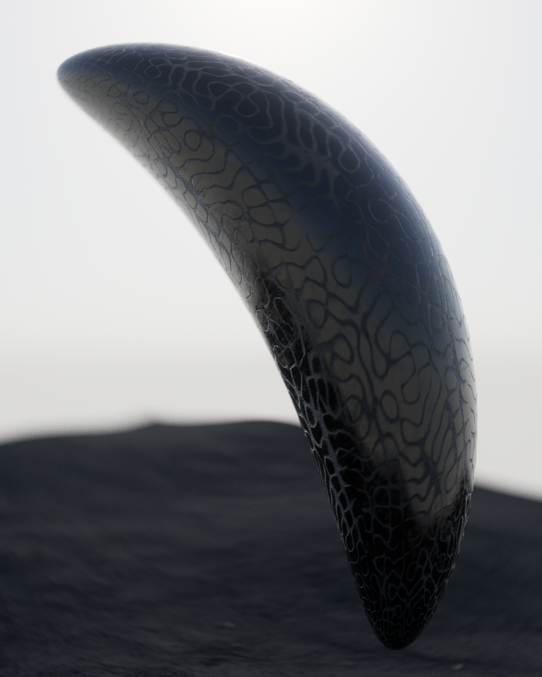 sh1