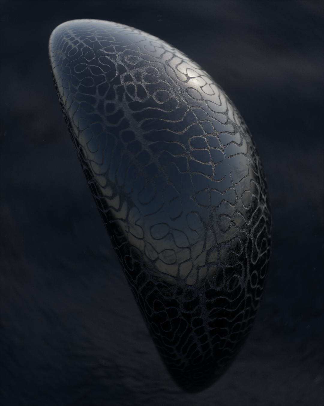 sh1